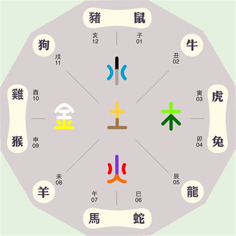 牛五行|十二生肖五行属性对照表，古人的智慧，值得品读和借鉴！